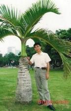 太阳山下风光的第1张照片