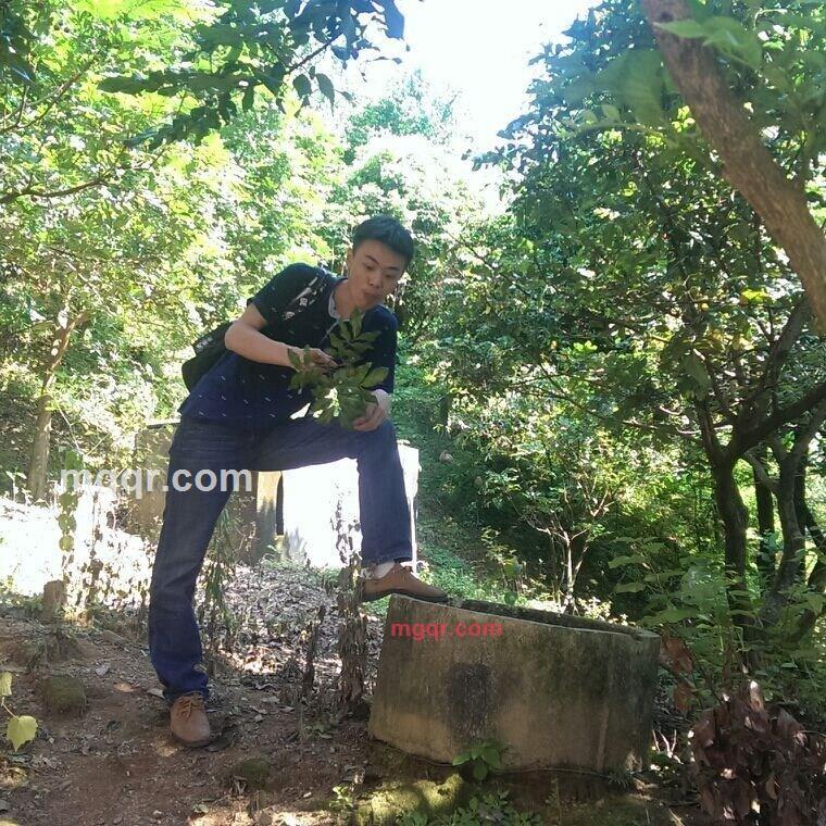 surely1的第3张照片