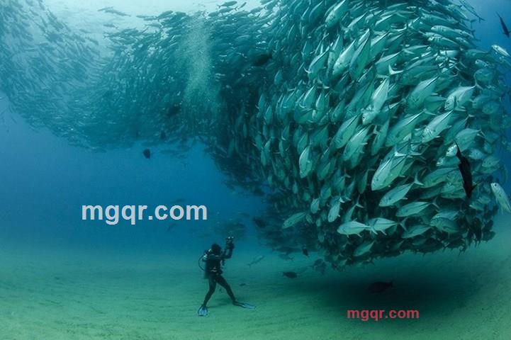 有啥嘛的第5张照片