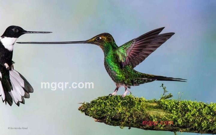 有啥嘛的第1张照片