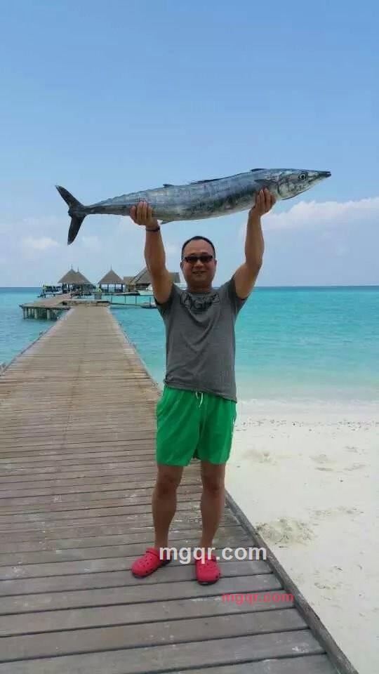 向往高飞的第3张照片