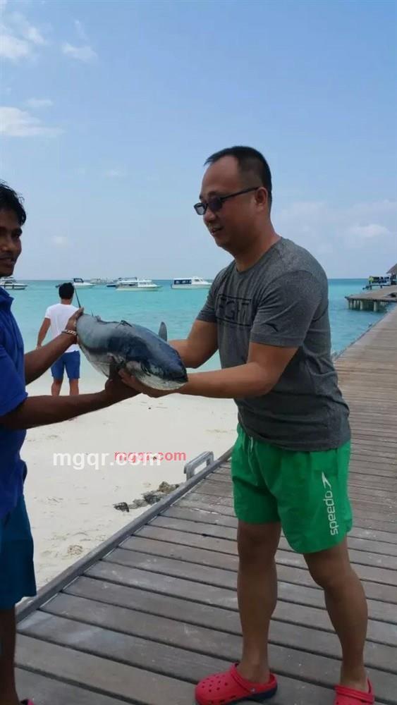 向往高飞的第2张照片