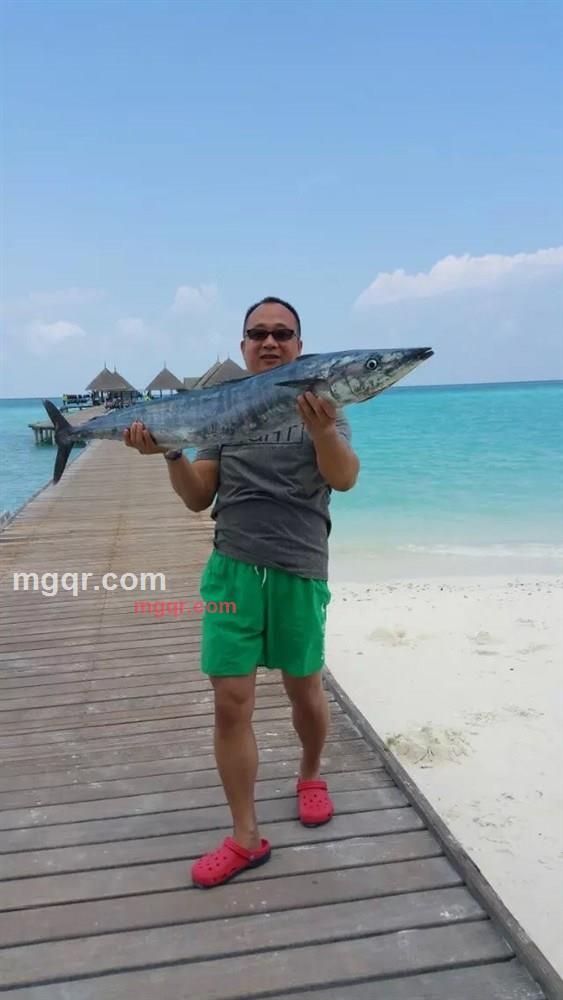 向往高飞的第1张照片