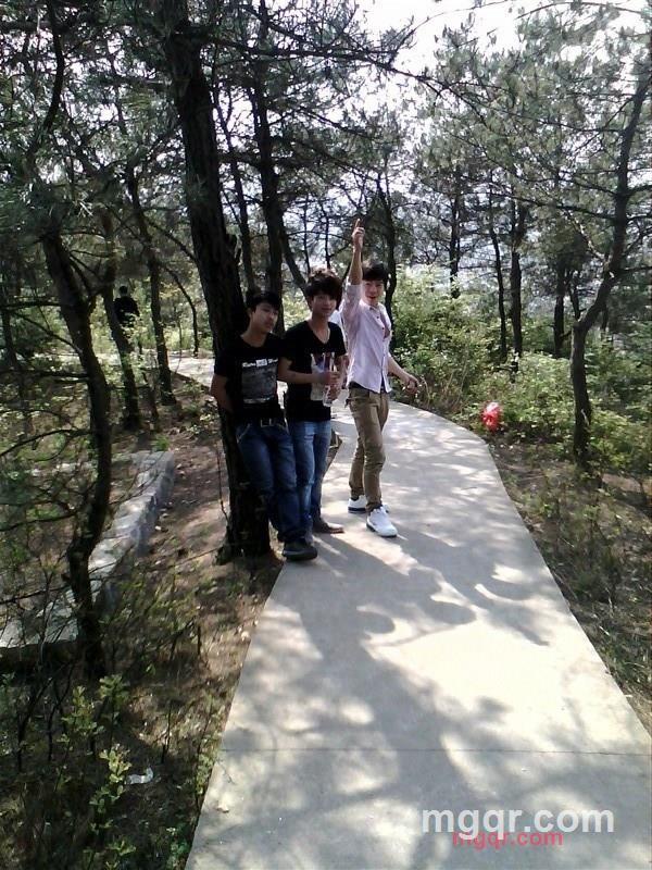 无情的心声的第2张照片