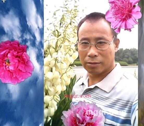 夜吻玫瑰的第2张照片