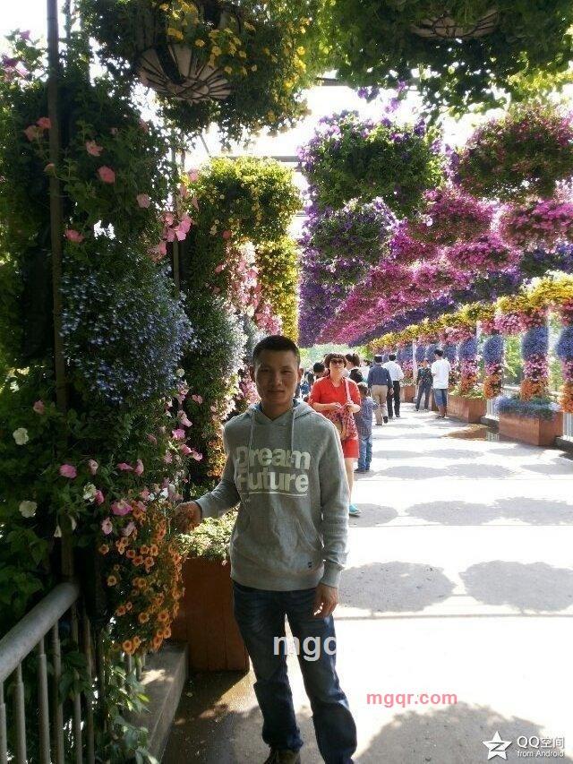 终将逝去的的第1张照片