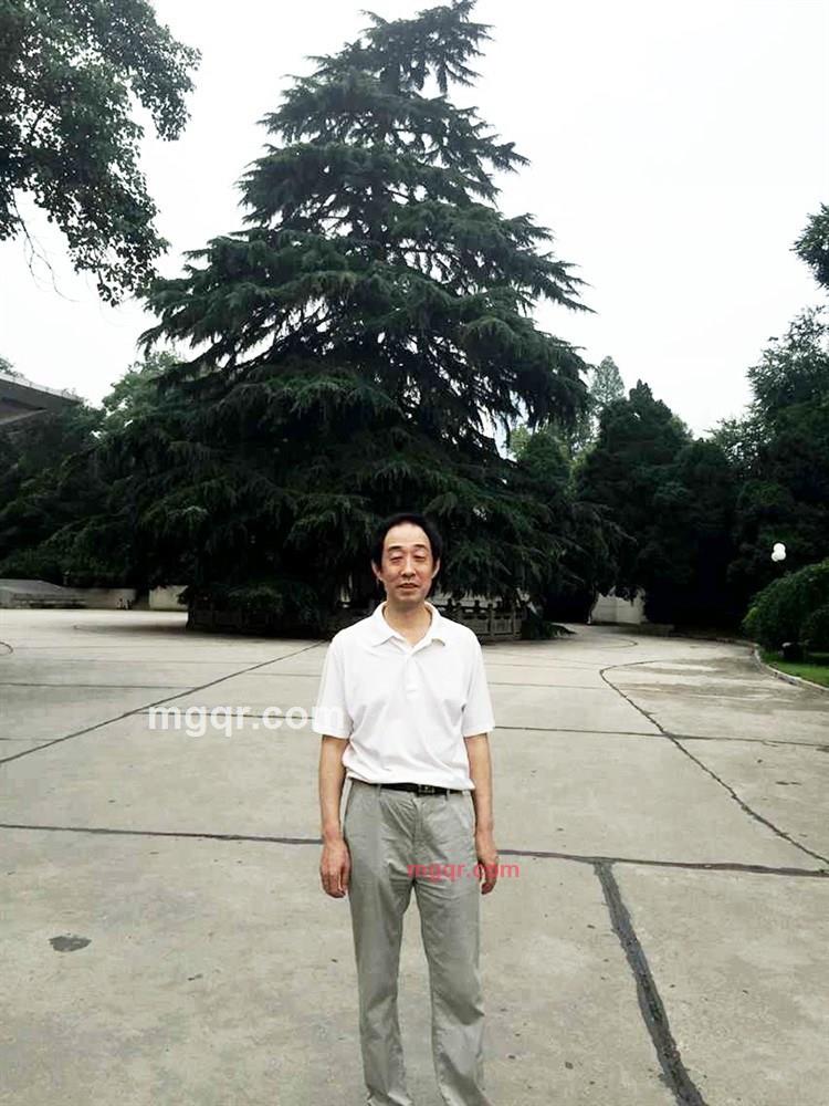 海洋的第4张照片