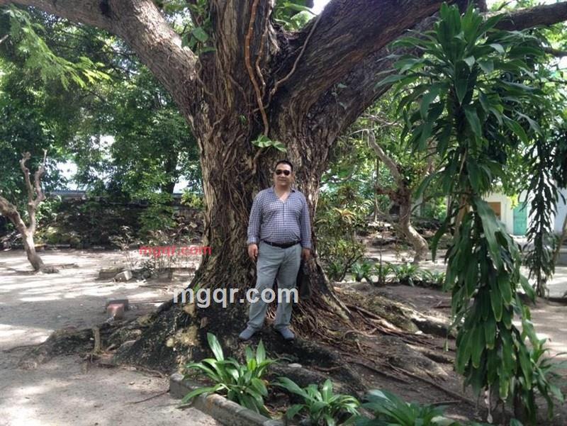 阳光128的第2张照片