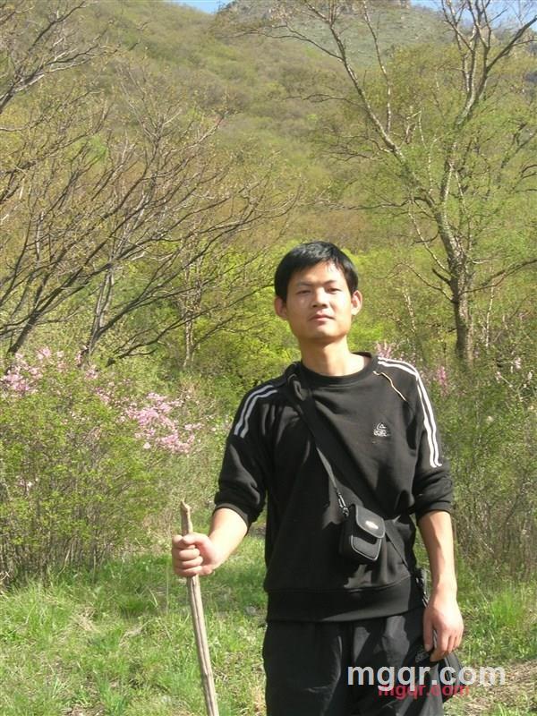 孤冷4的第1张照片