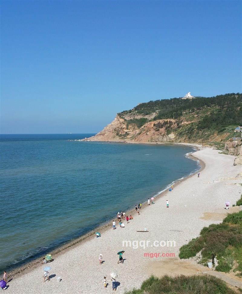 小豆的第1张照片