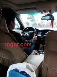 sun flower的第5张照片