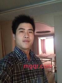 sun flower的第2张照片