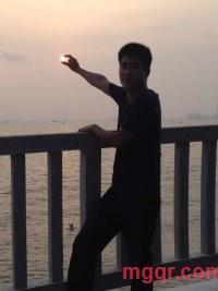 sun flower的第1张照片