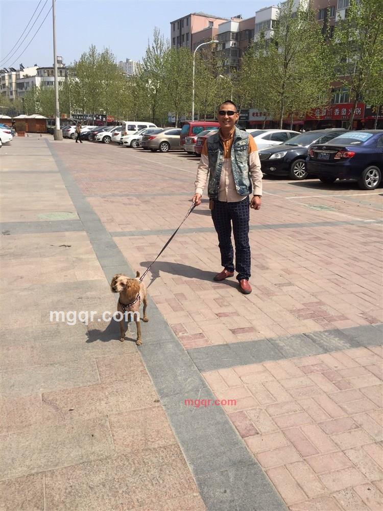 ◆﹎╬纞丄伱的第2张照片