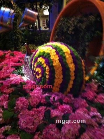 计划发生的第4张照片