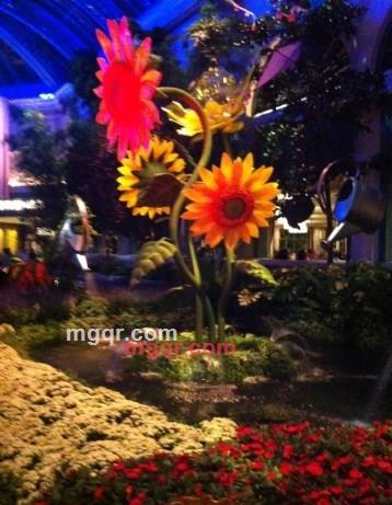 计划发生的第3张照片