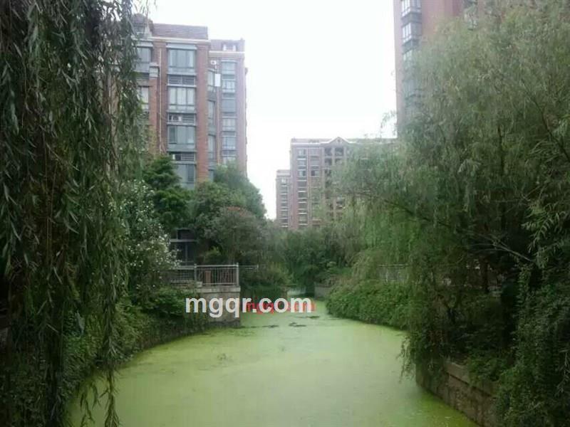 北静的第7张照片