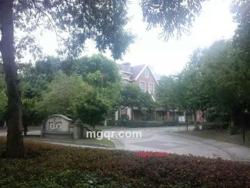 北静的第6张照片