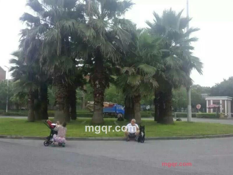 北静的第4张照片