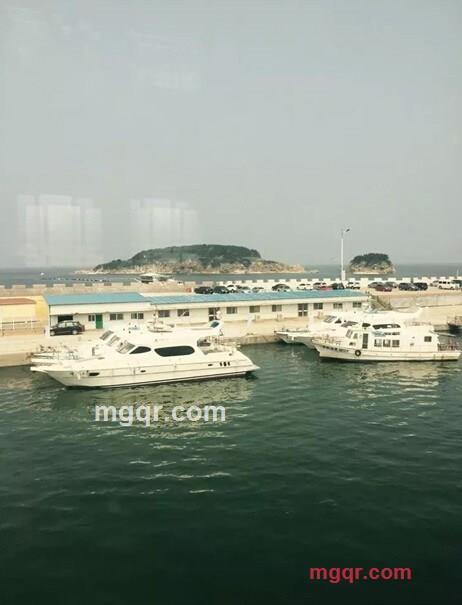 嫁给微笑的第32张照片