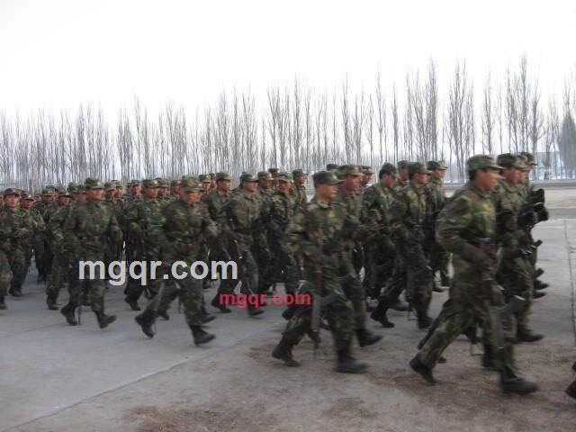 王亚忠的第3张照片