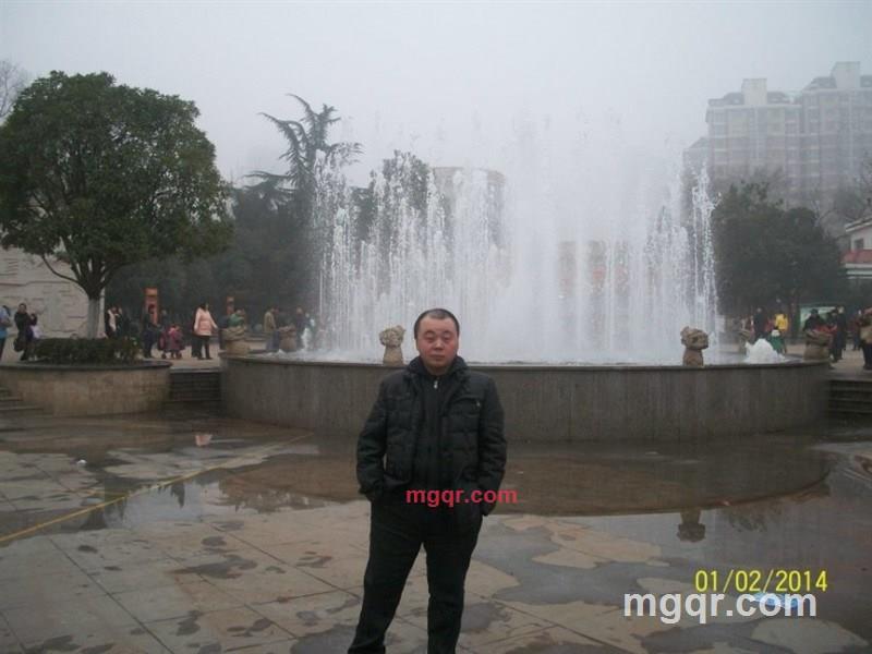 我是龙我会飞的第1张照片