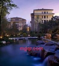 强子的第7张照片