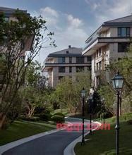 强子的第5张照片