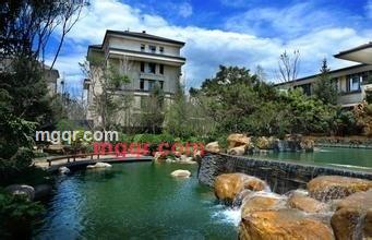 强子的第6张照片