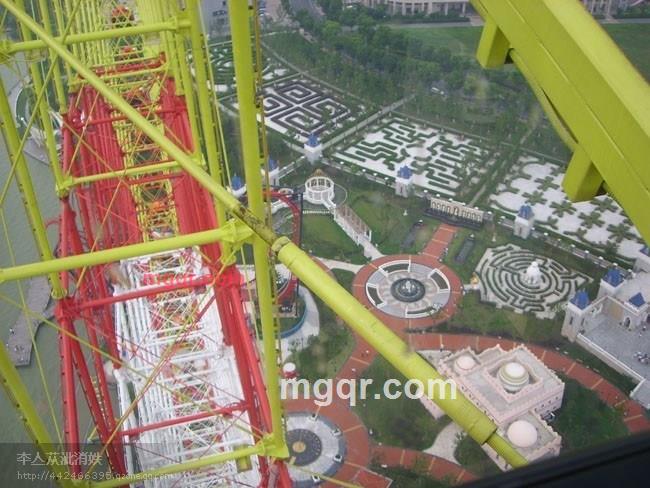 放荡不羁的我们的第3张照片