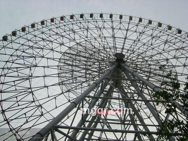 放荡不羁的我们的第2张照片