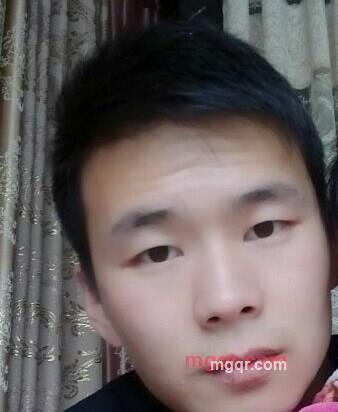 蜂窝的第1张照片