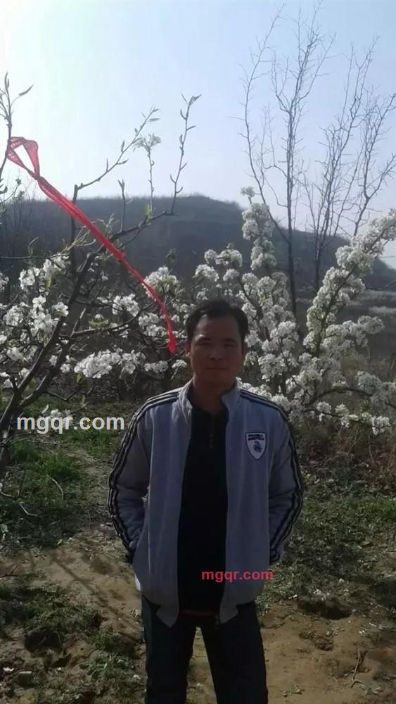 裤裆有条蛇的第4张照片