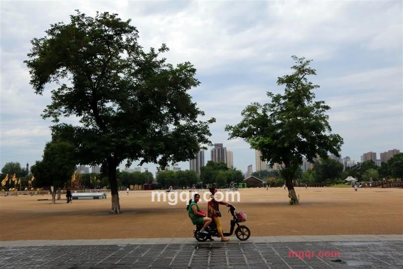 沦为乞丐的第1张照片