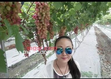 子夜花开的第1张照片