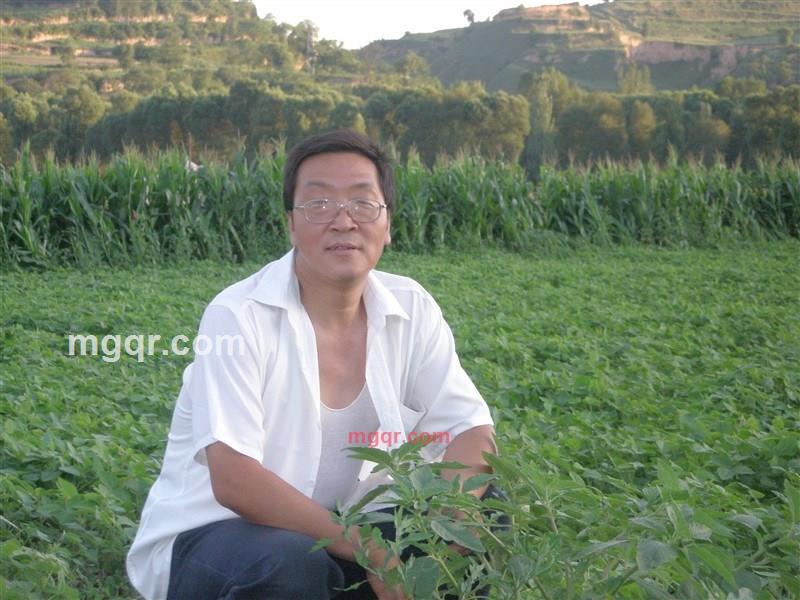 流动的沙粒的第4张照片