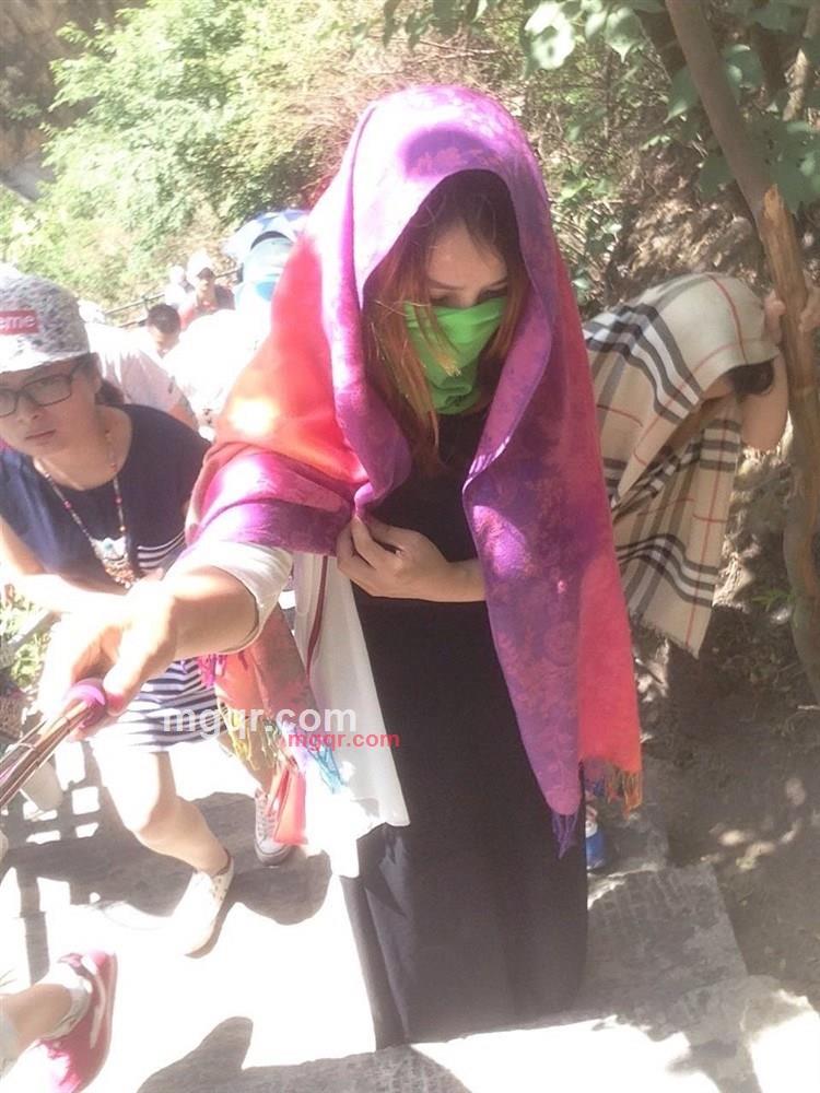 飘散的蒲公英的第1张照片