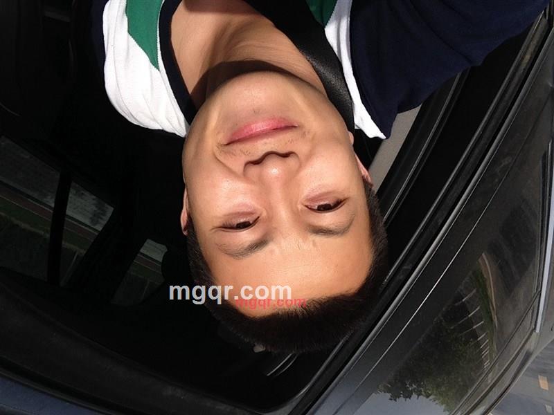 风流大树的第2张照片