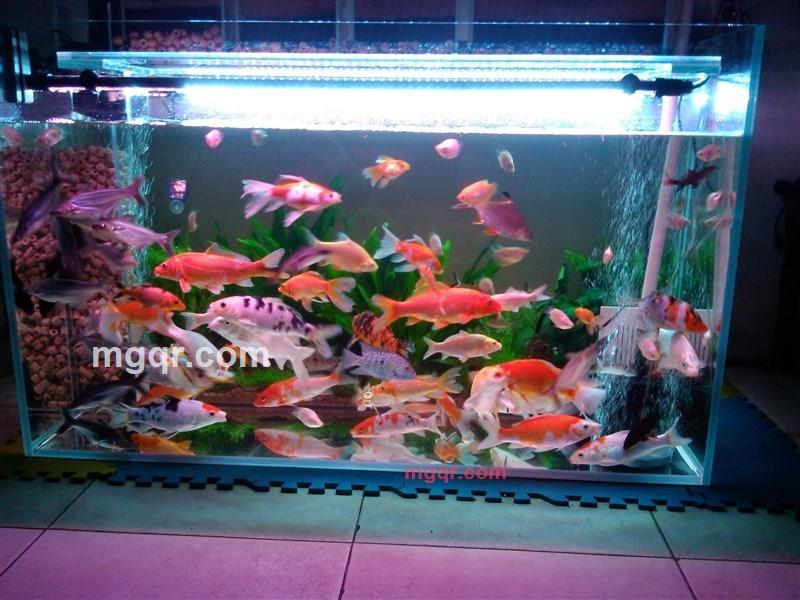 半生缘续的第2张照片