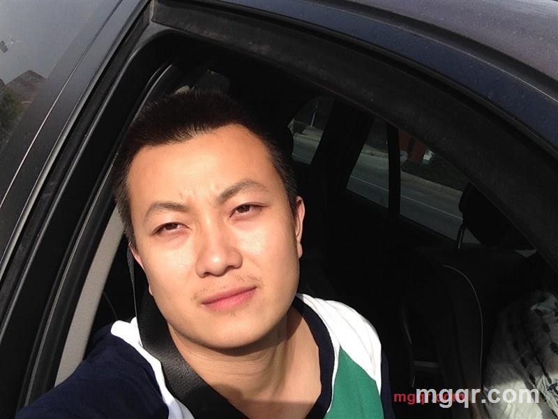 风流大树的第1张照片