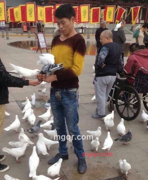 孤客的第2张照片