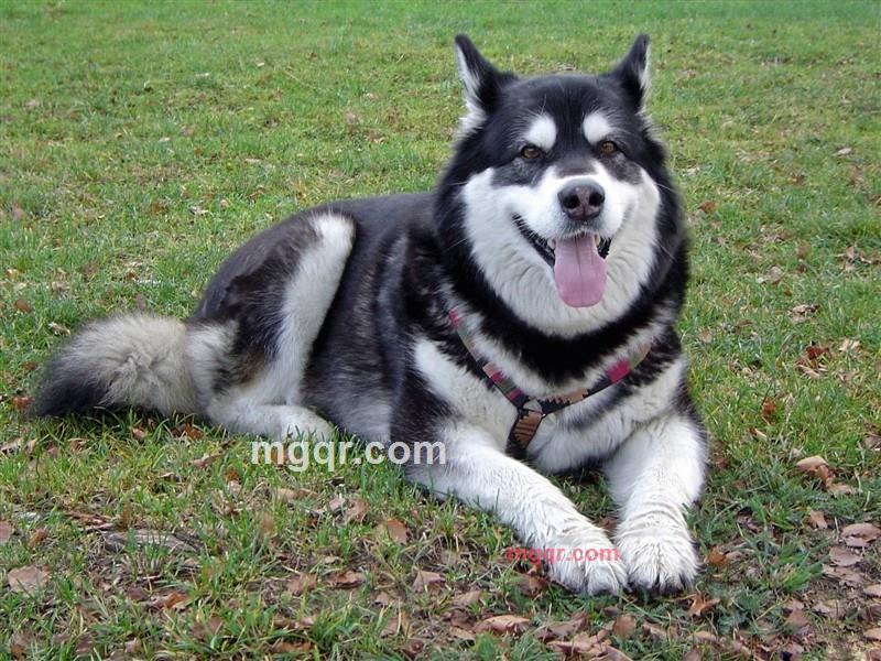 相悟浮生的第1张照片