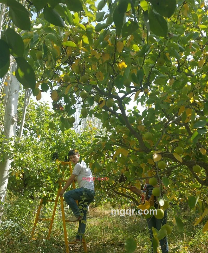 512你的第1张照片