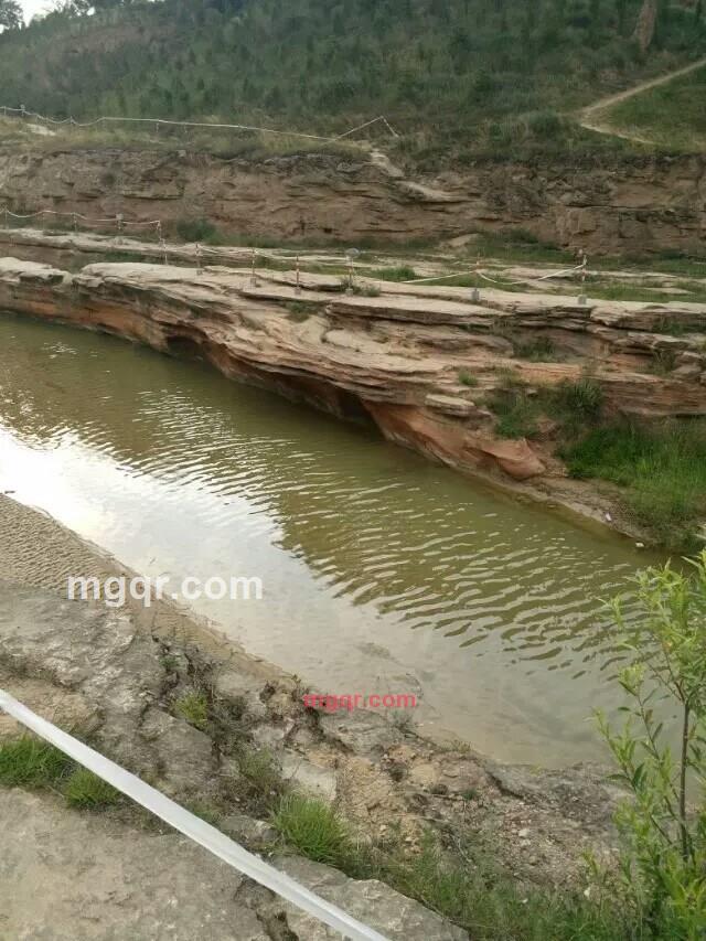 大少55355的第1张照片