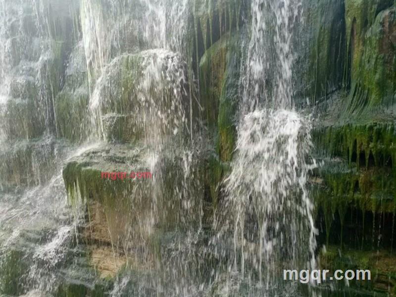 大少55355的第2张照片