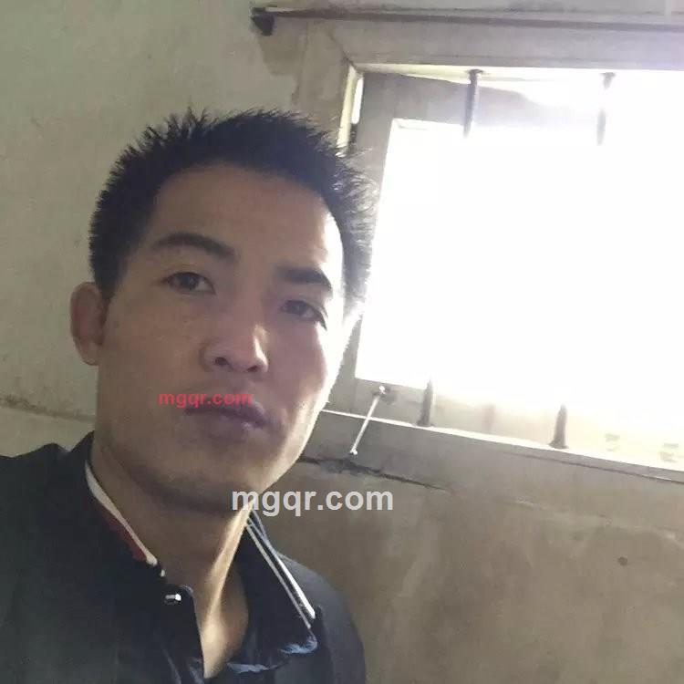 残桥独木的第1张照片