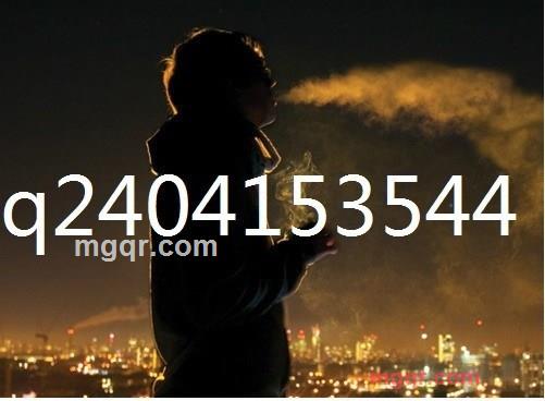 泅渡的王的第1张照片