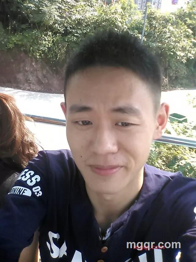 不锈钢虫子的第3张照片