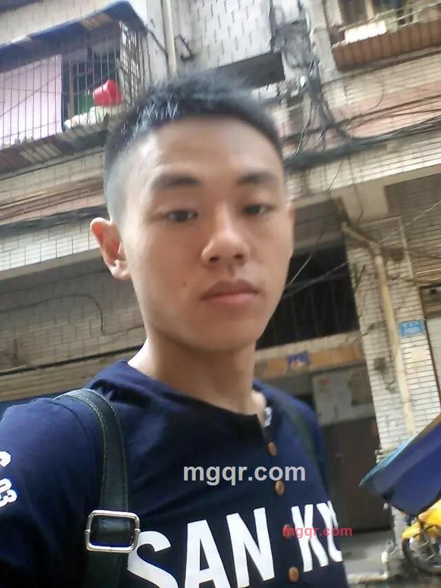 不锈钢虫子的第2张照片