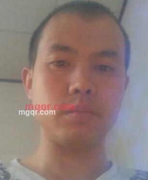 微雨竹影的第2张照片